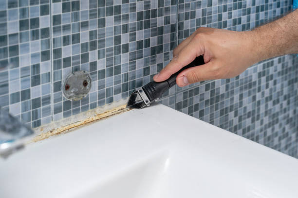 Best Black Mold Removal  in Spring Hill, FL